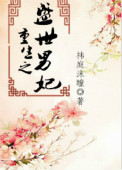 《重生之盛世男妃》封面