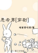 《愚孝男[穿剧]》封面