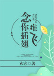 《念你插翅难飞》封面