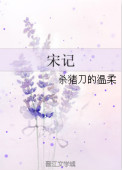 《宋记》封面