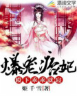 《爆宠痞妃：殿下，乖乖就寝》封面
