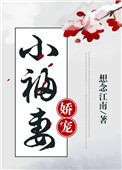 《娇宠小福妻》封面