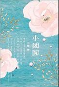 《小团圆》封面
