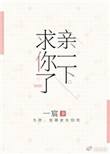 《亲一下，求你了》封面