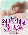 《纯禽小叔别太猛》封面