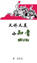 《又娇又美小知青》封面