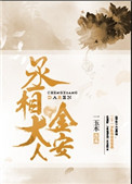 《丞相大人金安》封面