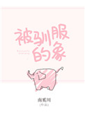 《被驯服的象》封面