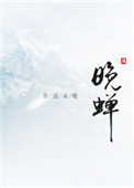 《晚蝉》封面