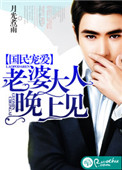 《国民宠爱：老婆大人晚上见》封面