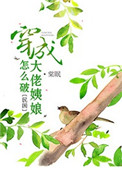 《穿成大佬姨娘怎么破》封面