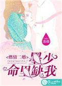 《燃情二婚：墨少命里缺我》封面