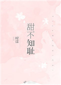 《甜不知耻》封面