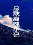 《总裁离魂小记》封面