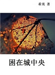 《困在城中央》封面