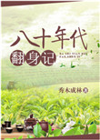 《八十年代翻身记》封面