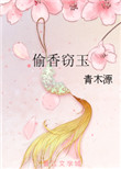 《偷香窃玉》封面
