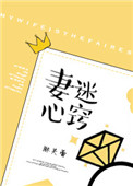 《妻迷心窍》封面