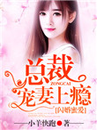 《闪婚蜜爱：总裁宠妻上瘾》封面