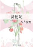 《贤德妃》封面
