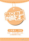 《师兄，别来无恙》封面
