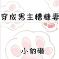 《穿成男主糟糠妻》封面