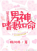 《男神嗜妻如命[娱乐圈]》封面