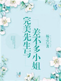 《完美先生与差不多小姐》封面