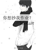 《你想抄我作业？》封面