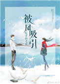 《被风吸引》封面