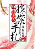 《县夫人探案手札》封面