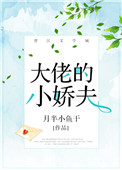 《大佬的小娇夫》封面