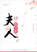 《夫人想守寡》封面