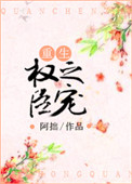 《权臣之宠（重生）》封面