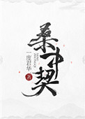 《明月入君怀》封面