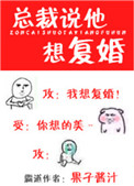 《总裁说他想复婚》封面