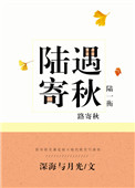 《陆遇寄秋》封面