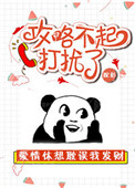 《攻略不起打扰了》封面