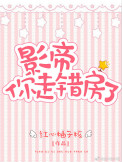 《影帝，你走错房了》封面