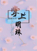 《掌上明珠（作者：北途川）》封面