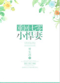 《重回七零小悍妻》封面