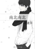 《南北南北》封面
