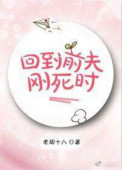 《回到前夫刚死时》封面