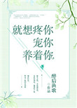 《就想疼你宠你养着你》封面