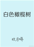 《白色橄榄树》封面