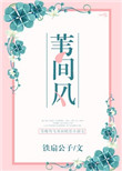 《苇间风》封面