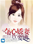 《夺心娇妻莫要逃》封面