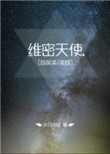 《维密天使[综英美/美娱]》封面