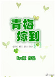 《青梅嫁到》封面