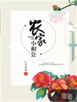 《农家小相公》封面
